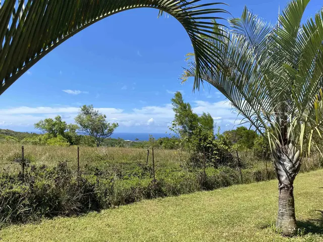 Listing Image for 28 S Honokala Rd A 41 of 50