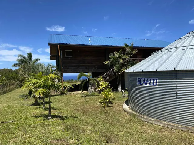 Listing Image for 28 S Honokala Rd A 46 of 50