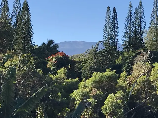 Listing Image for 28 S Honokala Rd A 49 of 50
