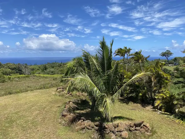 Listing Image for 28 S Honokala Rd A 5 of 50