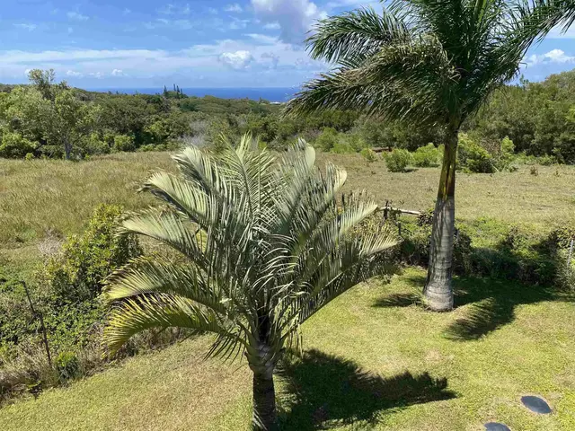 Listing Image for 28 S Honokala Rd A 6 of 50