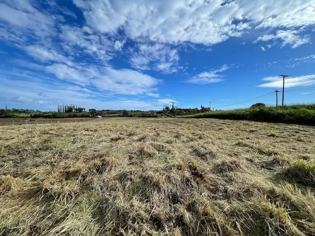 Listing Image for 1221 Haliimaile Rd 2 of 7