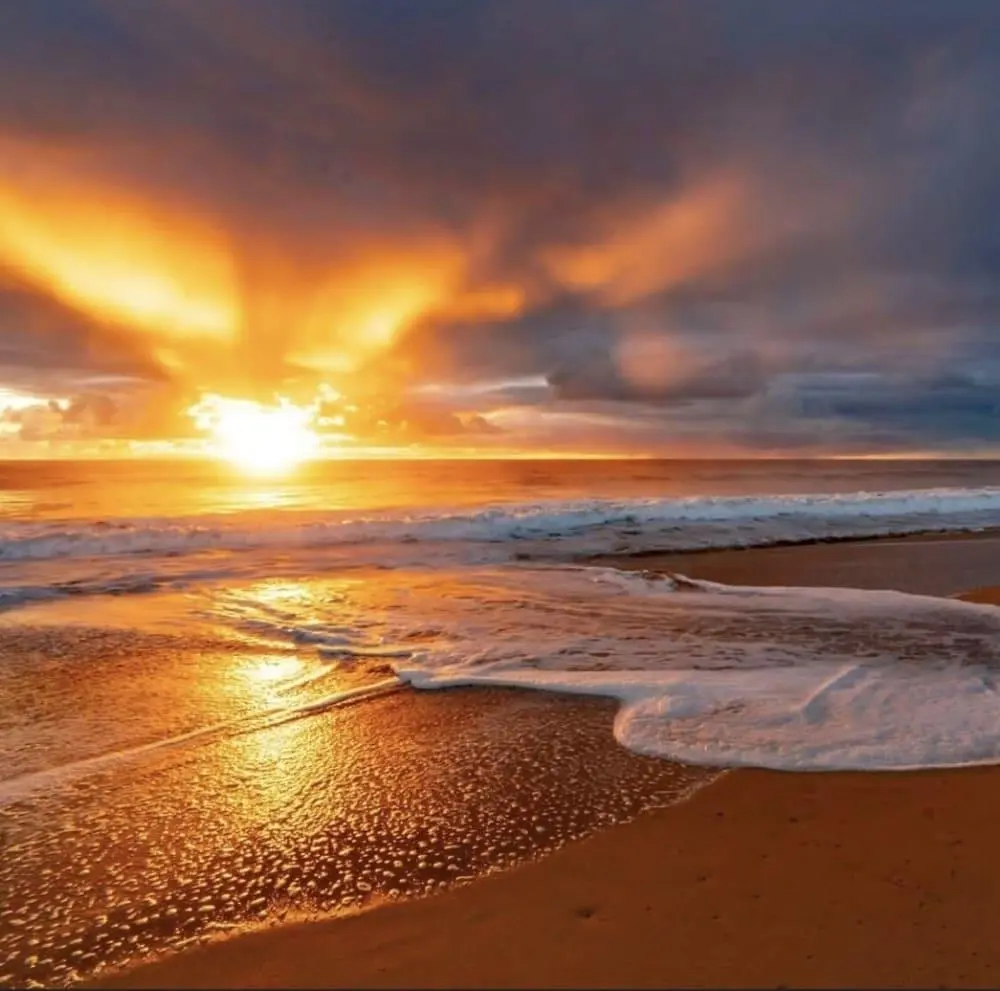 Photo of Listing #407939