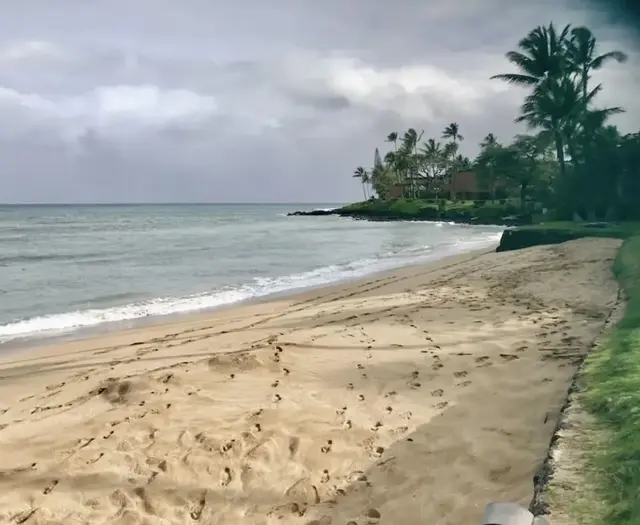 Listing Image for 3875 Lower Honoapiilani Rd A105 24 of 27