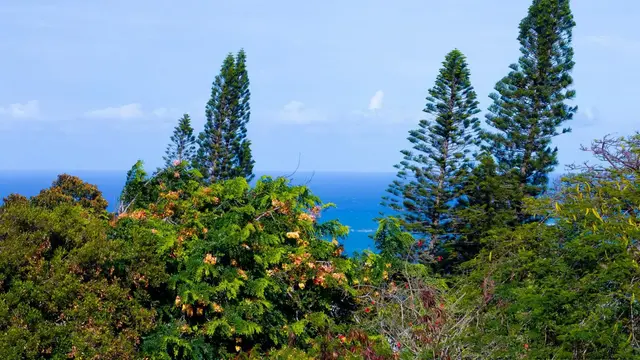 Listing Image for 681 Noweo Pl 5 of 8