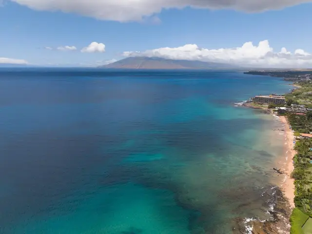 Listing Image for 160 Keonekai Rd 8-203 29 of 35