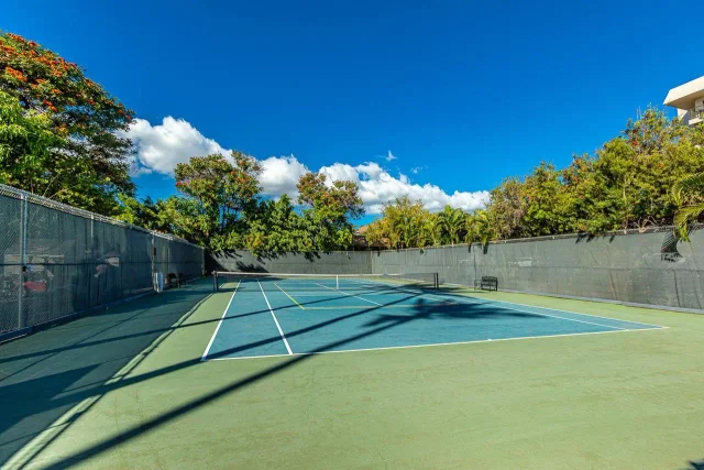 Listing Image for 2531 S Kihei Rd C610 26 of 33