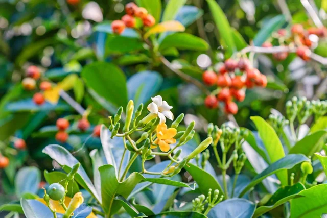 Listing Image for 8040 Hana Hwy 50 of 50