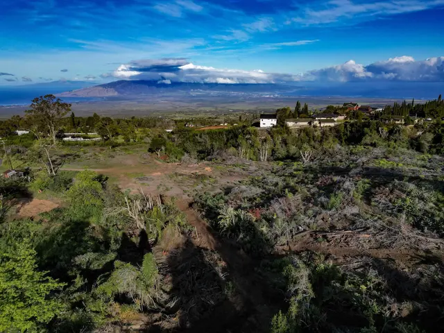 Listing Image for 0 Haleakala Hwy Unit A 1 of 9