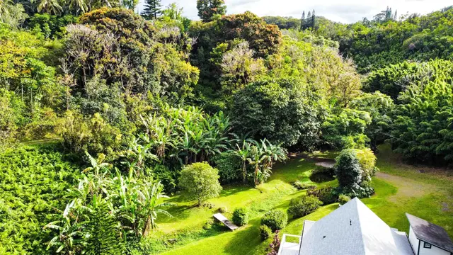 Listing Image for 441 Haloa Rd 10 of 33