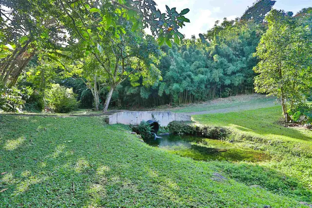 Listing Image for 441 Haloa Rd 31 of 33