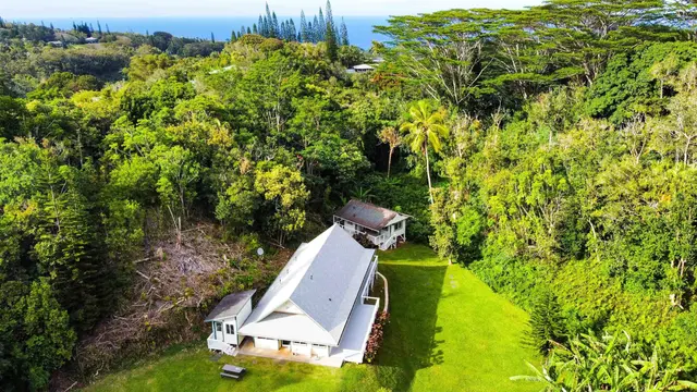 Listing Image for 441 Haloa Rd 4 of 33