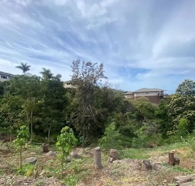 Listing Image for 35 Kapalulu Pl 361 6 of 7