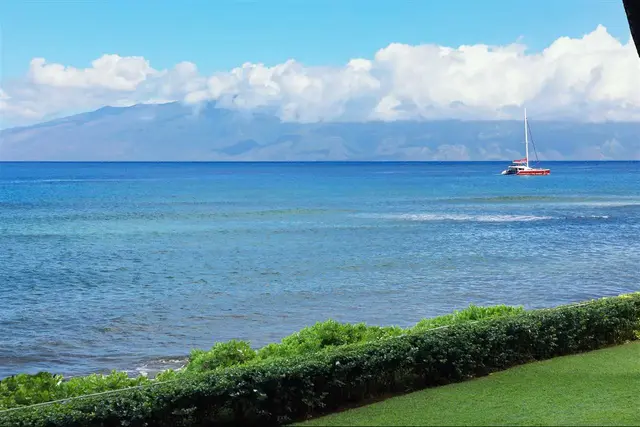 Listing Image for 110 Kaanapali Shores Pl 215 29 of 30