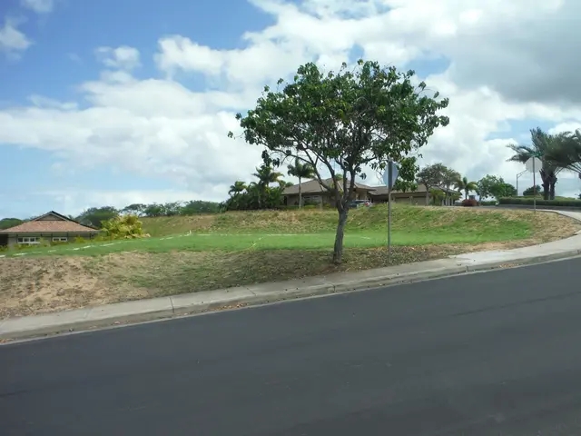Listing Image for 15 E Kapueone Pl 2 of 8