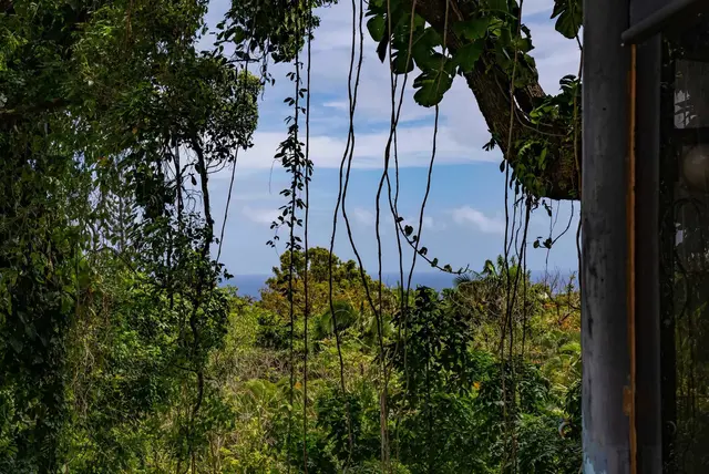 Listing Image for 810 Nahiku Rd 19 of 50