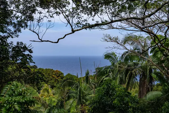 810 Nahiku Rd, Nahiku, 400857 - 2/50