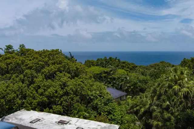 Listing Image for 810 Nahiku Rd 20 of 50