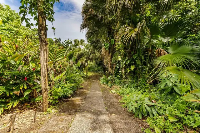 Listing Image for 810 Nahiku Rd 28 of 50