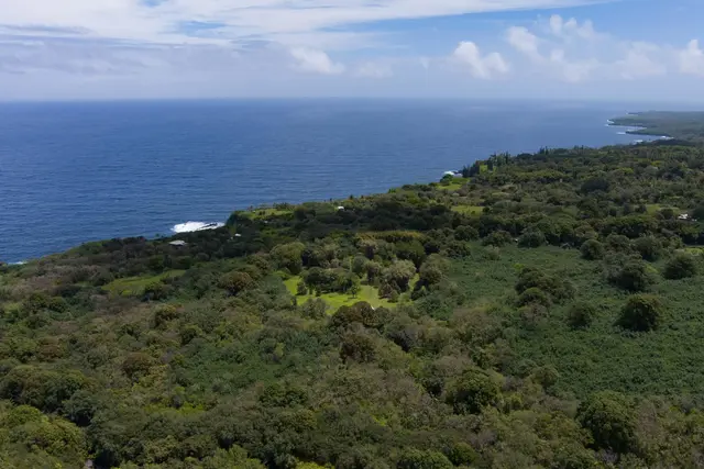 810 Nahiku Rd, Nahiku, 400857 - 4/50