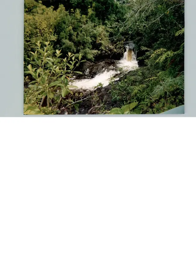 Listing Image for 810 Nahiku Rd 49 of 50