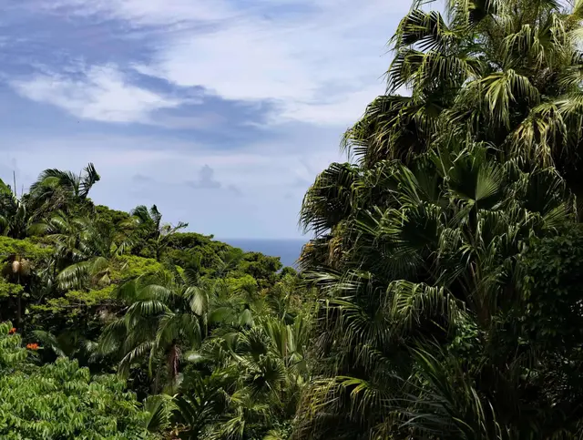Listing Image for 810 Nahiku Rd 6 of 50