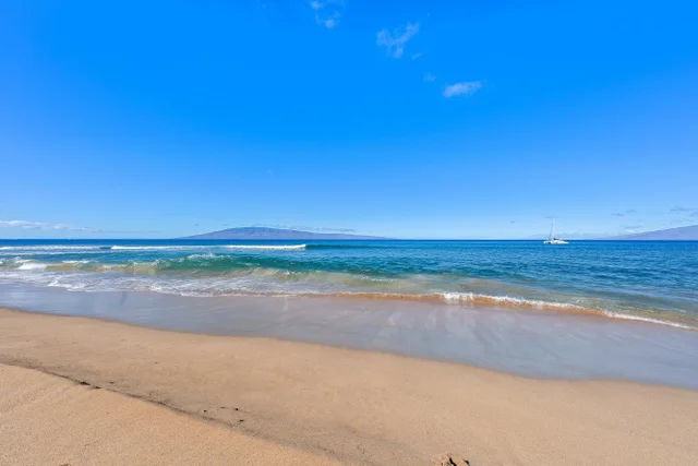 Listing Image for 50 Nohea Kai Dr 1-904 49 of 50