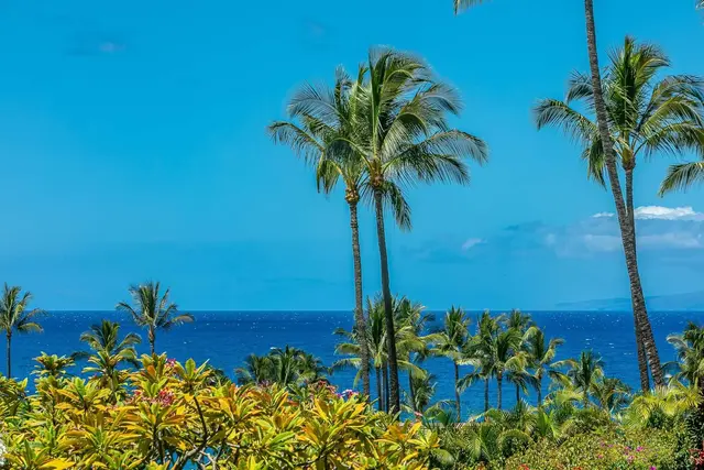 Listing Image for 3600 Wailea Alanui Dr 2109 46 of 46