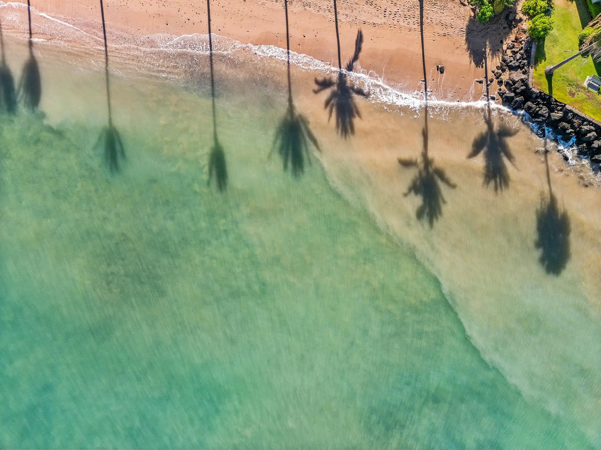 Photo of Listing #406765