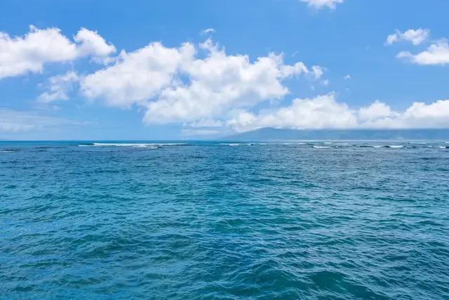 Listing Image for 4471 Lower Honoapi'ilani Rd 118 39 of 41