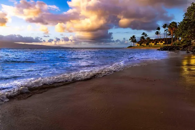Listing Image for 4471 Lower Honoapi'ilani Rd 118 40 of 41