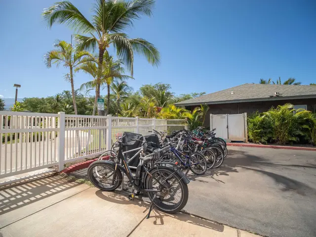 Listing Image for 55 Halili Ln 11e 31 of 36