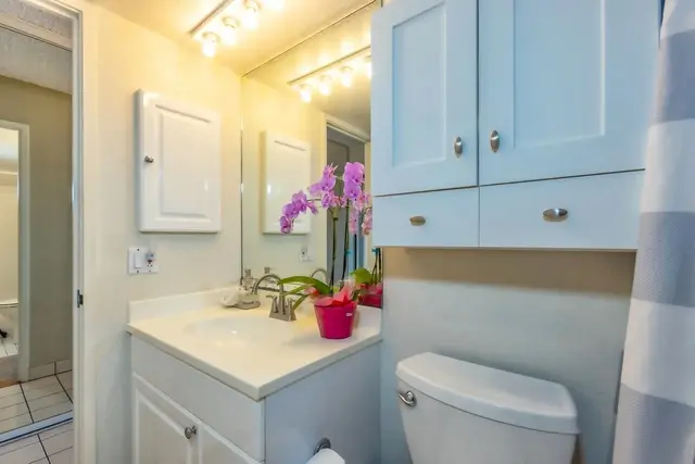 Listing Image for 2191 S Kihei Rd 1325 20 of 33