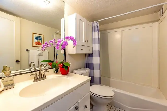 Listing Image for 2191 S Kihei Rd 1325 21 of 33