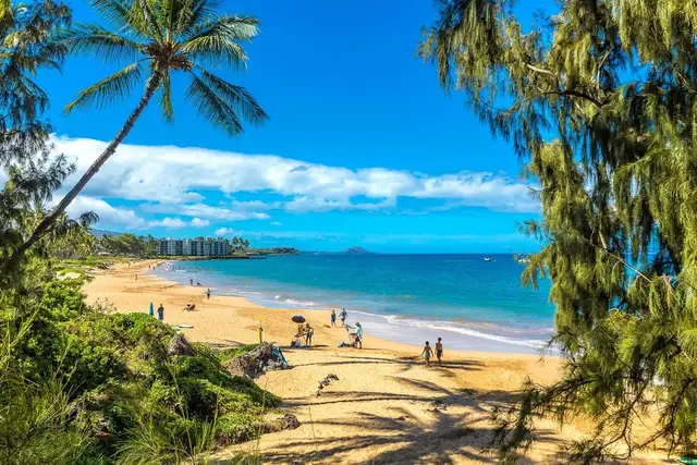 Listing Image for 2191 S Kihei Rd 1325 28 of 33