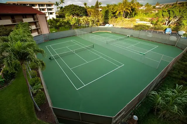 Listing Image for 2191 S Kihei Rd 1325 32 of 33