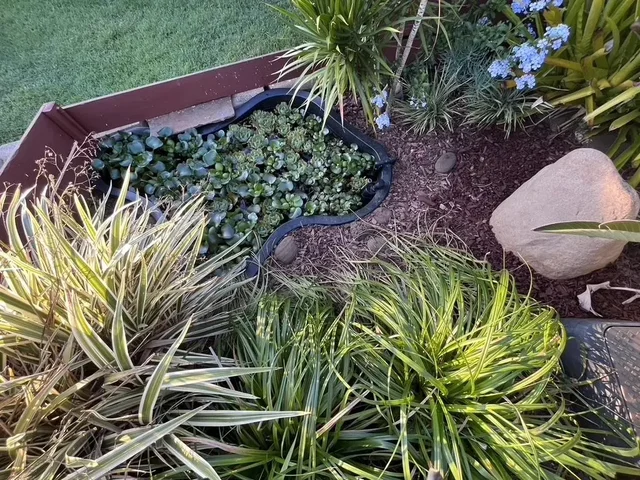 Listing Image for 125 Hiwalani Loop 45 of 50