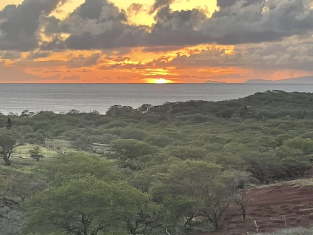 Listing Image for 206 Awawa Rd 2 of 29