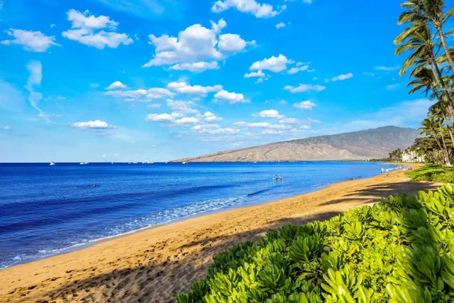 Listing Image for 36 S Kihei Rd 410 6 of 41