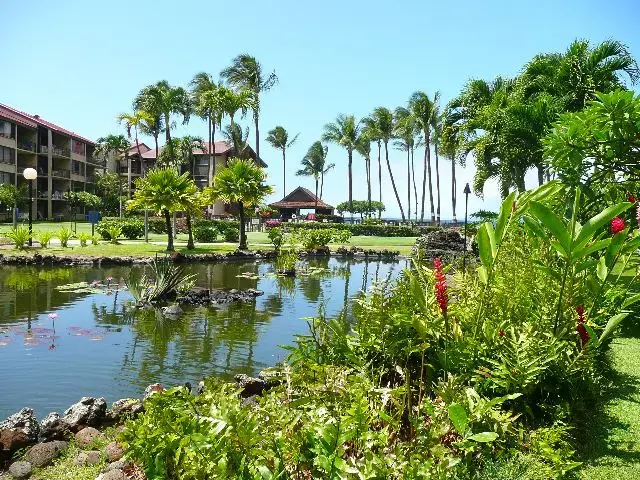 Listing Image for 3543 Lower Honoapiilani Rd F206 5b-6a 16 of 21