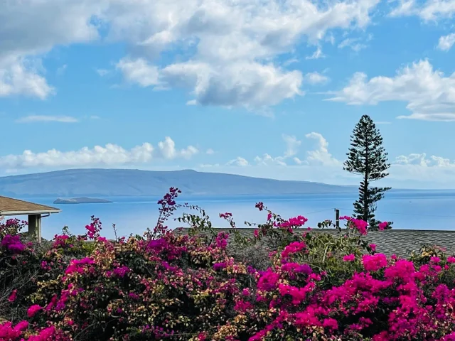 Listing Image for 614 Kupulau Pl 5 of 32