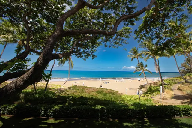 Listing Image for 2230 S Kihei Rd 9 8 of 49
