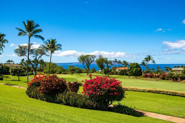 Listing Image for 3950 Kalai Waa St R102 1 of 29