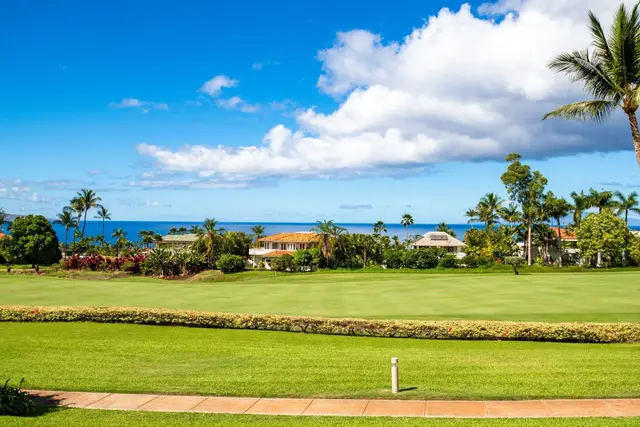 Listing Image for 3950 Kalai Waa St R102 18 of 29