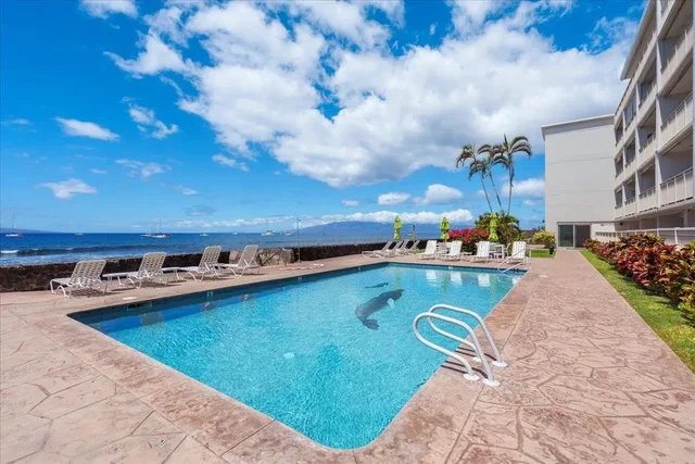 Listing Image for 1403 Front St 309 27 of 33