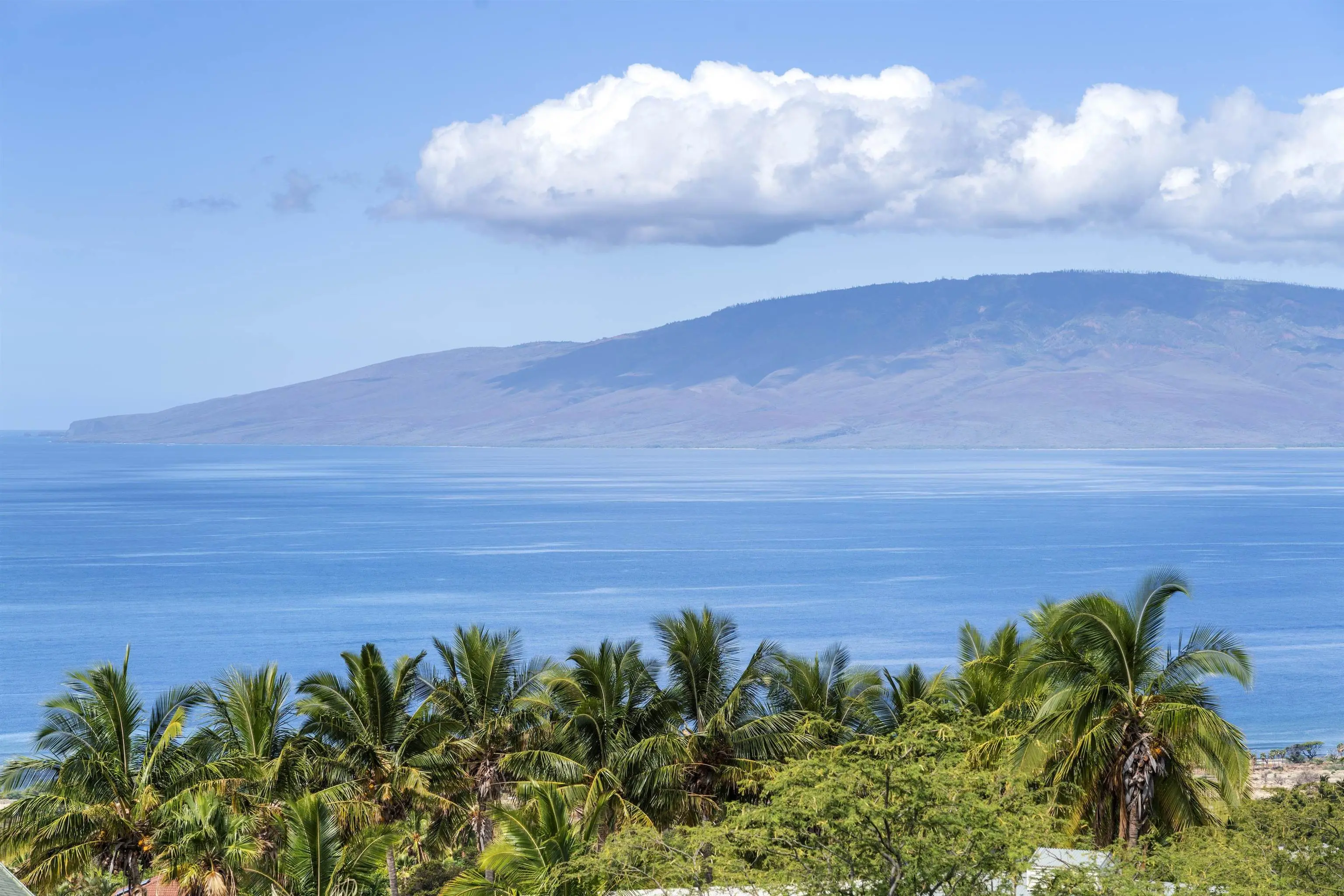 Photo of Listing #406979