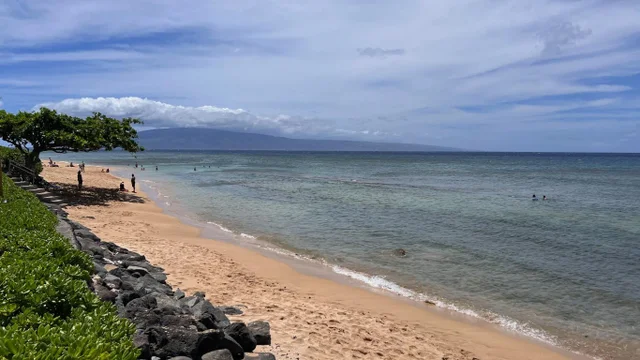 Listing Image for 3445 Lower Honoapiilani Rd 211 27 of 27