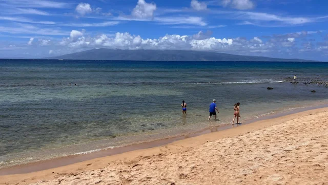 Listing Image for 3445 Lower Honoapiilani Rd 211 4 of 27