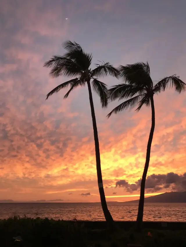 Listing Image for 3741 Lower Honoapiilani Rd 112 15 of 18