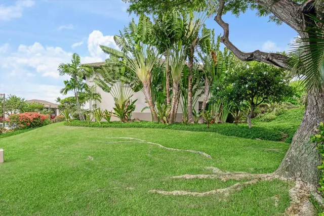 Listing Image for 3950 Kalai Waa St A 101 41 of 50